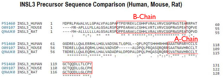 insl3 sequence comp