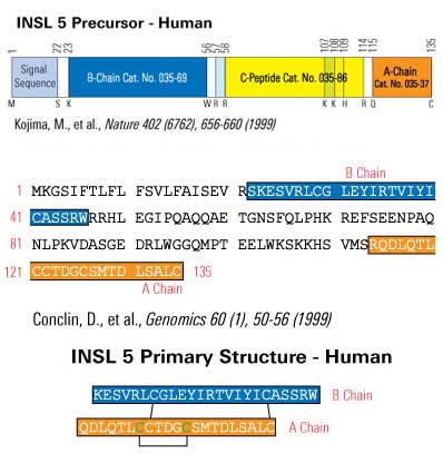 insl5 structure