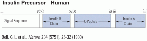 insulin schematics