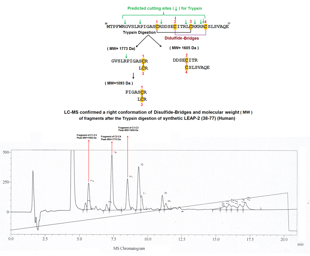 trypsin digestion of LEAP-2