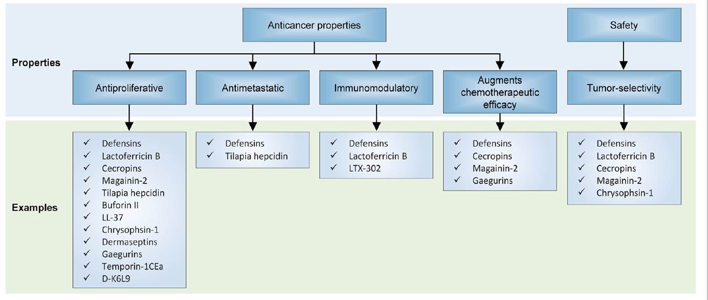 Effects of antimicrobial peptides on in preclinical models of neoplasia. Effects of antimicrobial peptides on in preclinical models of neoplasia.