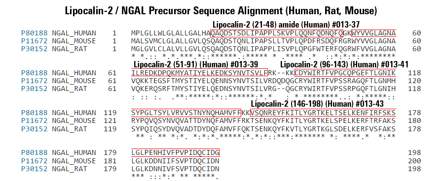 sequence comparison lipocalin-2