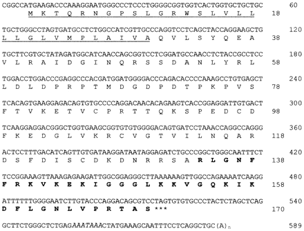 cDNA sequence of the rhesus monkey cathelicidin, RL-37