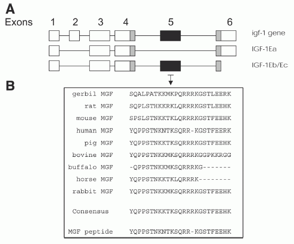 sequence comparison mgf