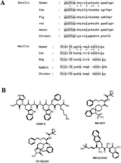 sequence comparison motilin