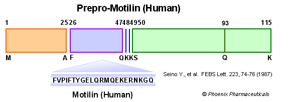 schematics motilin