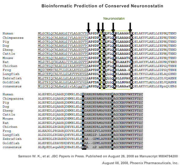 bioinformatic prediction of neuronostatin