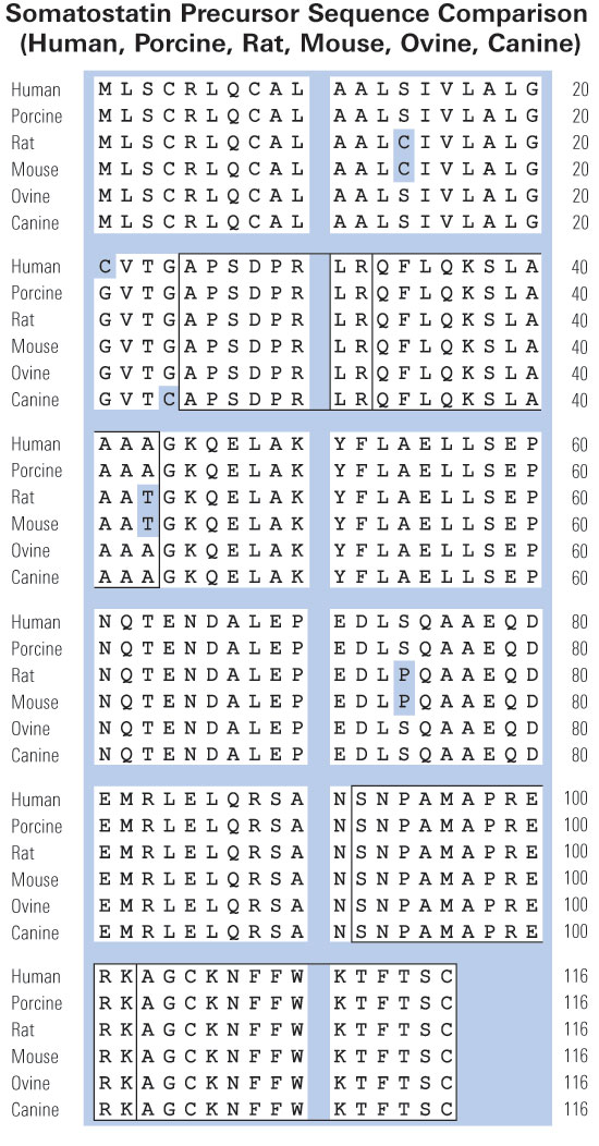 sequence comparison somatostatin