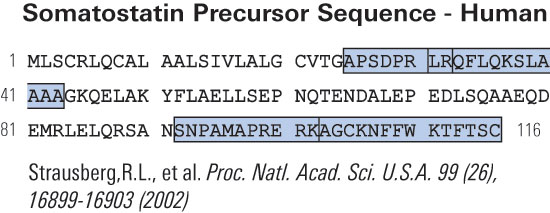 somatostatin sequence