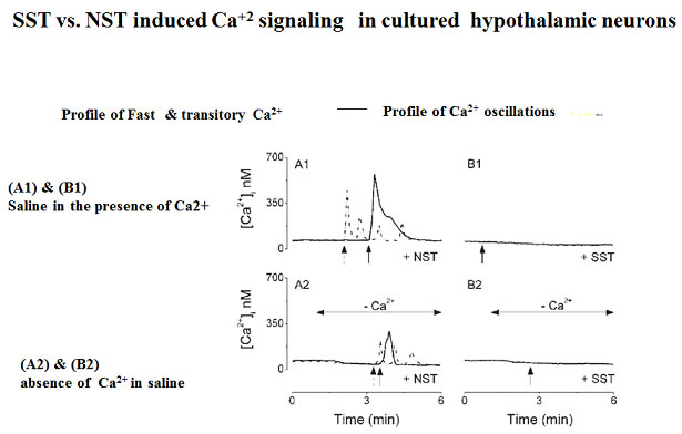 sst vs nst induced ca2+ signaling