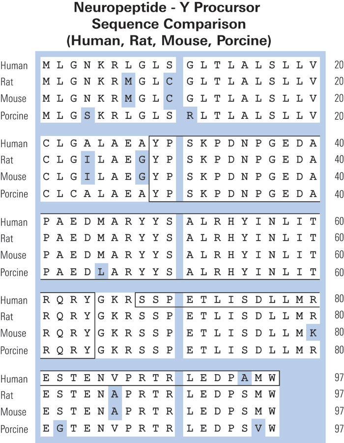 sequence comparison NPY