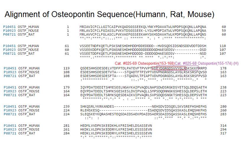 osteopontin sequence comparison