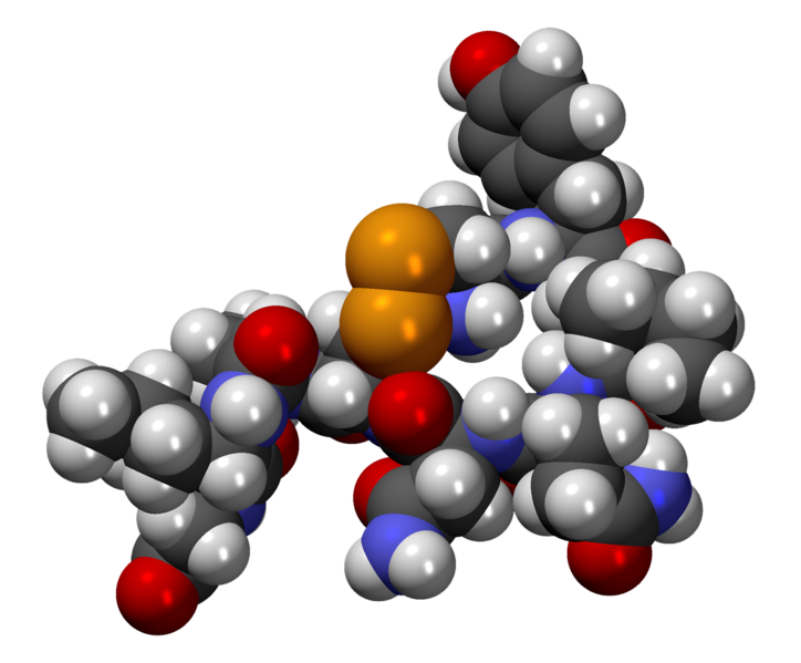 structure oxytocin