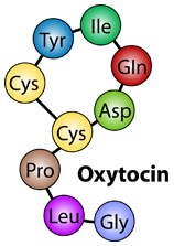 Biological Functions of Oxytocin and Oxytocin-like Drugs