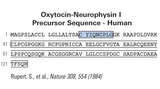 sequence oxytocin