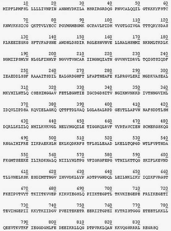 Amino Acid Sequence of Human Perisotin / OSF-2 Isoform 1