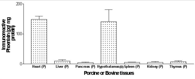 level of immunoreactive Phoenixin in porcine (P) or bovine (B) tissues