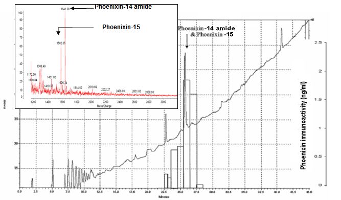 The 2nd HPLC profile, immunoreactivity and Mass spectrometry to identify the isolated peptides