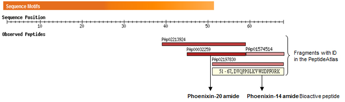 phoenixin gene