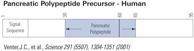 schematics ppp