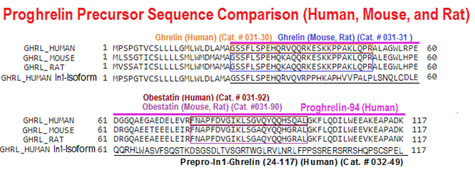 proghrelin sequence comparison