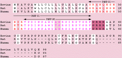 sequence comparison prrp