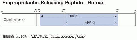 schematics prolactin