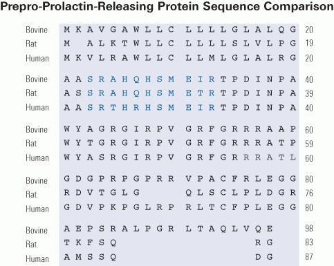 sequence comparison prolactin