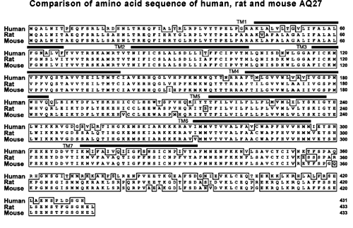 sequence comparison AQ27