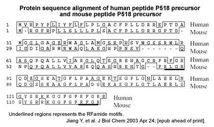 sequence comparison P518