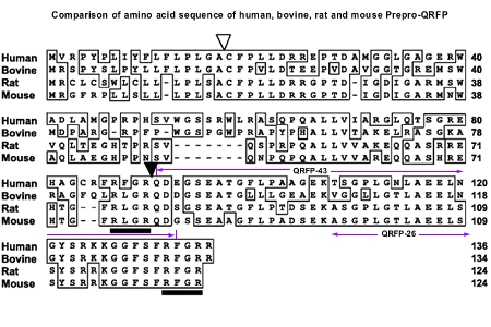 sequence comparison QRFP