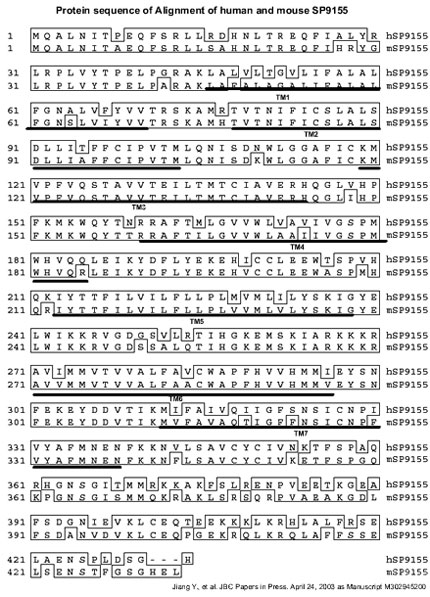 sequence comparison SP 9155