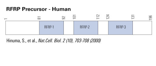 rfrp schemetics