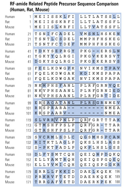 sequence amyloid comparison rfrp