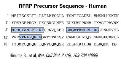 rfrp sequence