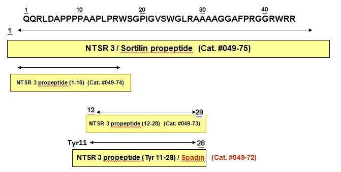 NTSR-3/Sotilin Prohomone Schematic