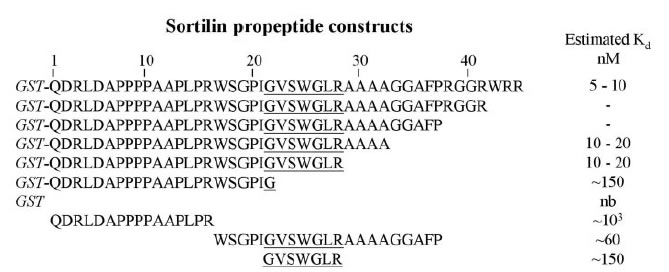 sequence comparison sortilin