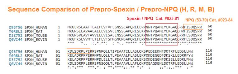 sequence comparison of spexin