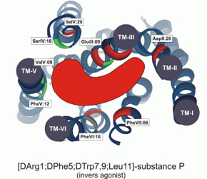 Ghrelin-receptor-antagonist-1b.jpg