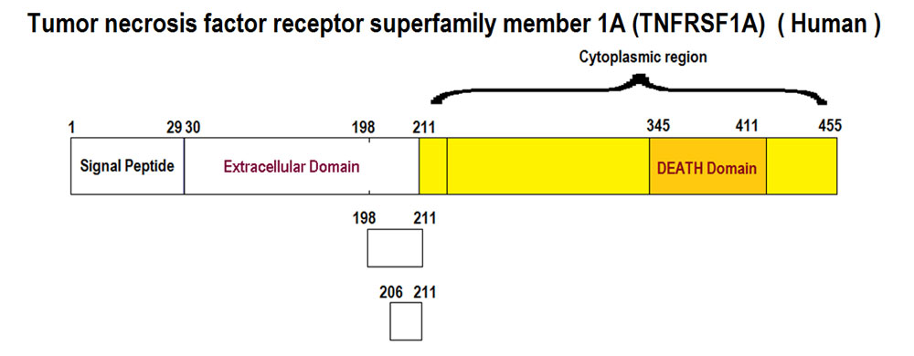 schematic tnfr