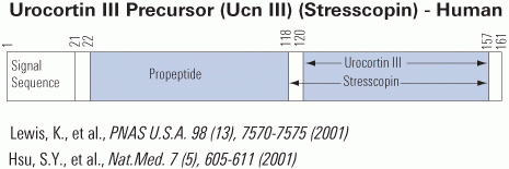 Urocortin III schematics