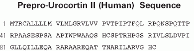 Urocortin II sequence