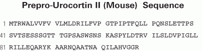 Urocortin II sequence