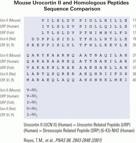 Urocortin sequence comparison